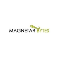 Magnetar Bytes Inc. logo - Similar company to Info Datarun Solutions