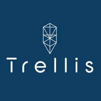 Trellis Consulting logo - Similar company to Elora