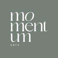 Momentum Creatives FZ-LLC logo - Similar company to Mona Trading
