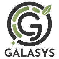 Galasys Incorporated logo - Similar company to Induction Technologies Inc.