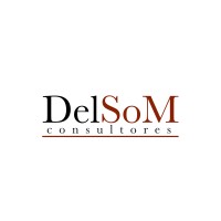 DelSoM logo - Similar company to Clutx It Solutions