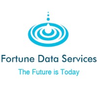 Fortunedataservices logo - Similar company to Transcend Consultancy Group