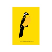 Kiskadee