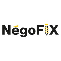 Negofix logo - Similar company to Mset Gmbh