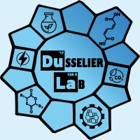 Dusselier Lab logo - Similar company to Sels Group