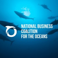 National Business Coalition for the Oceans logo - Similar company to University Of Miami Office Of The Vice Provost For Research & Scholarship (Ovprs)