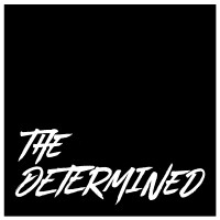 The Determined logo - Similar company to Verterra Corp