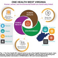 One Health West Virginia logo - Similar company to Fiu Architecture | College Of Communication, Architecture + The Arts
