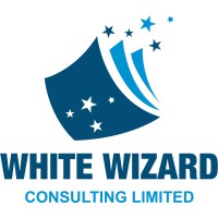 White Wizard Consulting logo - Similar company to Reshape Ai