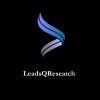 LeadsQResearch logo - Similar company to Xcellian Pvt.Ltd.