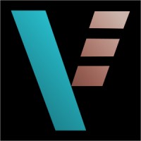 VeloxDB logo - Similar company to Vinaver Medical