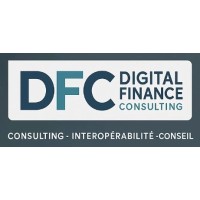 Digital Finance Consulting logo - Similar company to Eng Technologie Groupe