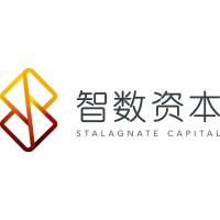 Stalagnate Capital logo - Similar company to Kinzon Capital
