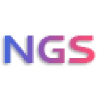 Next Genesis Solutions Pvt Ltd logo - Similar company to Genesis Solutions (India)