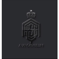 A IAI GATAULLINI FZCO logo - Similar company to Homeinmind