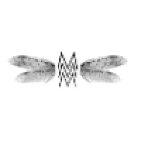 Flying MMM Management Company, L.L.C. logo - Similar company to Dwango Wireless