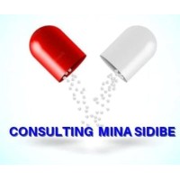 Consulting Mina Sidibé logo - Similar company to Inoqare
