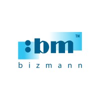 Bizmann System (S) Pte Ltd logo - Similar company to Nberise