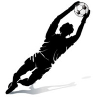 Jan Splinter Goalkeeper World logo - Similar company to Nuzoo