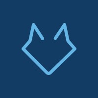 Flowolf logo - Similar company to Copa Ai