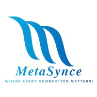 Meta Synce logo - Similar company to Coding Flex