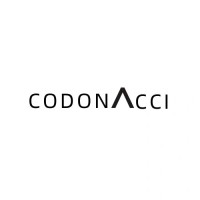 Codonacci logo - Similar company to Locksfly Solutions