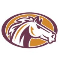 Bronco Industrial logo - Similar company to The Systems Group