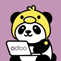 Odoo Solution by Duckgrammer logo - Similar company to Duckgrammer