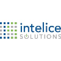 Intelice Solutions logo - Similar company to Kyneteks
