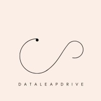 DataLeapDrive logo - Similar company to Marketsharp