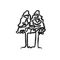 Sekoïa logo - Similar company to Evi