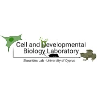 Cell and Developmental Biology Laboratory - Skourides Lab logo - Similar company to Cancer Biophysics Laboratory