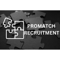 ProMatch Recruitment logo - Similar company to Mente