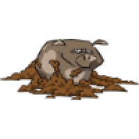 Sticky Pigs Inc.