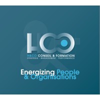 H&Company logo - Similar company to Giroptic