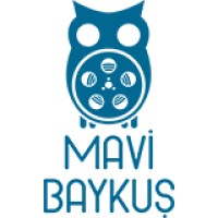 Mavi Baykuş Animation Studio logo - Similar company to Anibera