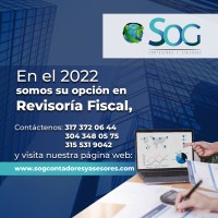 SOG Consultores y Asesores logo - Similar company to Tupymecontable