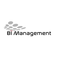 BI Management logo - Similar company to Zdunek Consulting