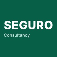 Seguro Consultancy logo - Similar company to Kurve