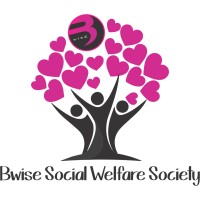 Bwise social welfare society logo - Similar company to Metro Group By Aditya Developers