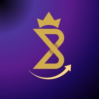 BHk IT - Consulting & Services logo - Similar company to Kingsizer