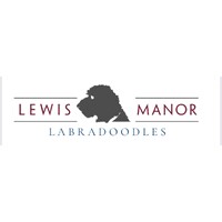 Lewis Manor Labradoodles