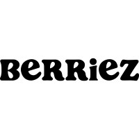 Berriez logo - Similar company to Ella Mae’S Boutique