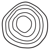 Culture & Arts Policy Institute logo - Similar company to Queens College School Of Arts