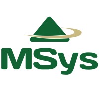 MSys Consultoria logo - Similar company to Summit Works