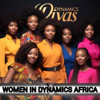 Women In Dynamics Africa logo - Similar company to Insight Dynamics
