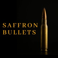 Saffron Bullets logo - Similar company to Silver Bullets Design