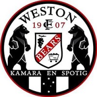 Weston Workers FC (Bears) logo - Similar company to Grupo Desportivo União Ericeirense