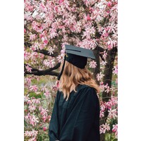 Teaching Compensation & Business Courses · Part-time logo - Similar company to Pay Matters