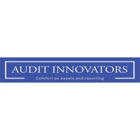 Audit Innovators logo - Similar company to Audit Action +